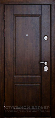 Дверь Порошок №31