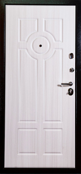 Дверь Порошок №11