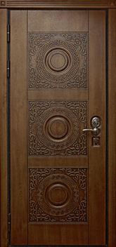 Дверь Порошок №5