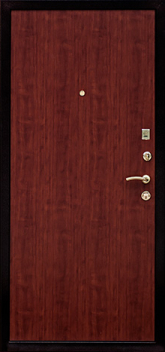 Дверь Порошок №15