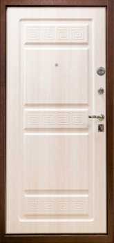 Дверь МДФ шпон №9