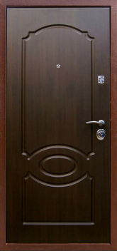 Дверь Порошок №38
