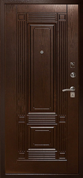 Дверь Порошок №9