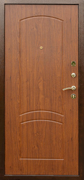 Дверь Порошок №48